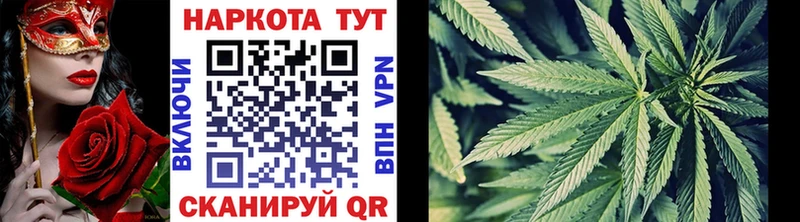 Где купить Анадырь Кокаин  АМФ  Меф  МЕГА рабочий сайт  ГАШ  МАРИХУАНА  Alpha-PVP 
