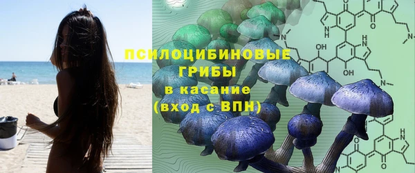 спиды Алзамай